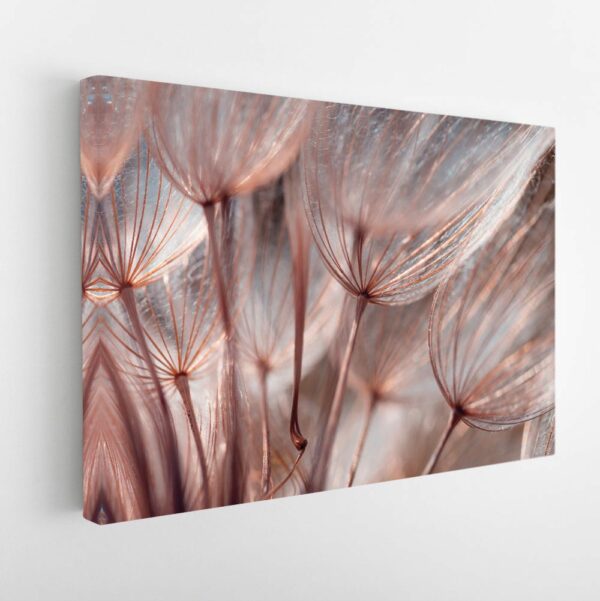 dandelion flowers stretched canvas