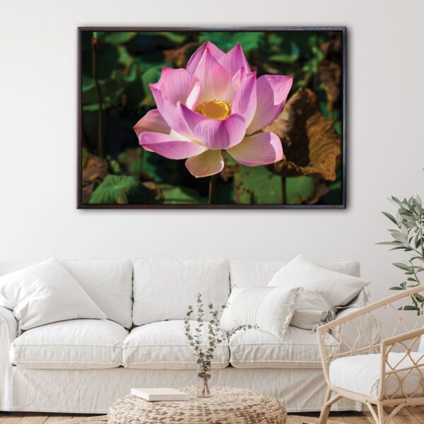 lotus flower floating frame canvas