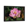 lotus flower framed canvas black frame