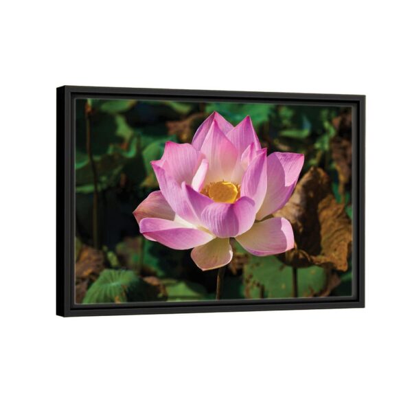 lotus flower framed canvas black frame