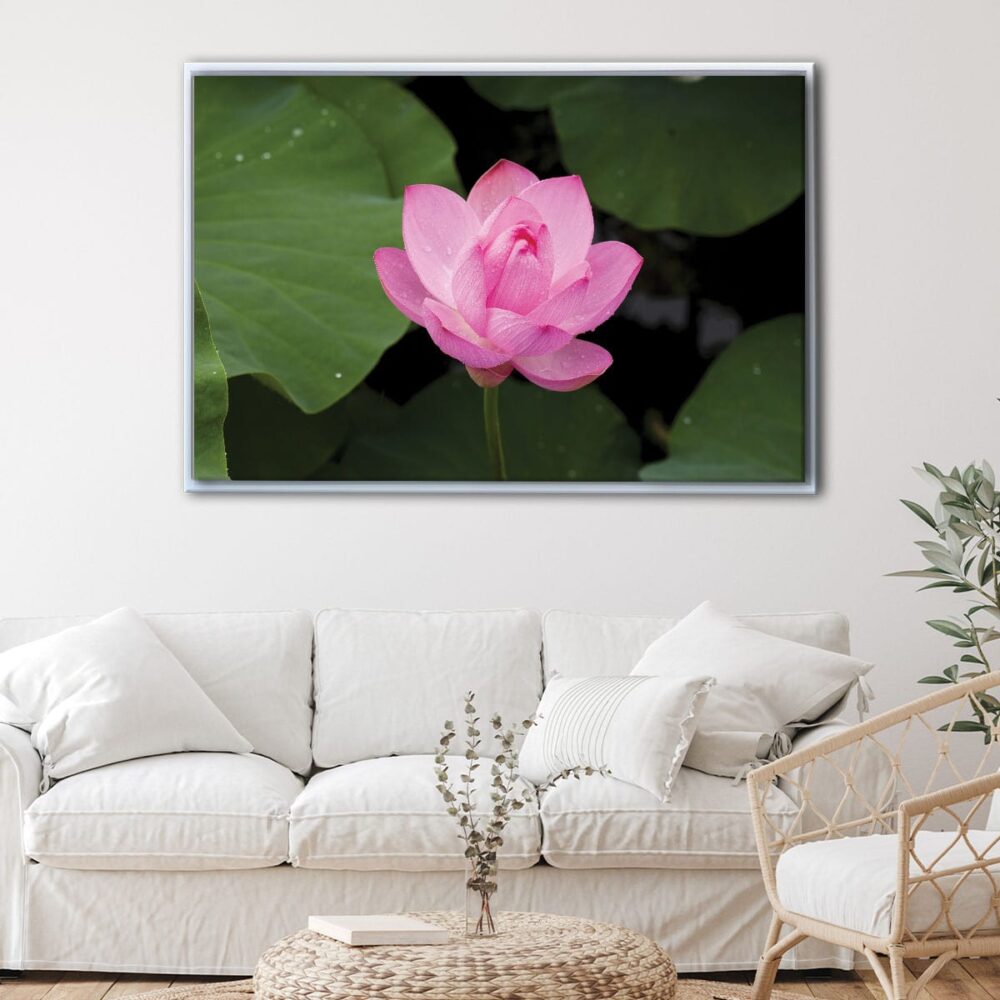 pink lotus floating frame canvas