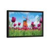 pink tulips field framed canvas black frame