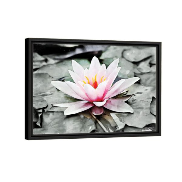 pink water lily framed canvas black frame