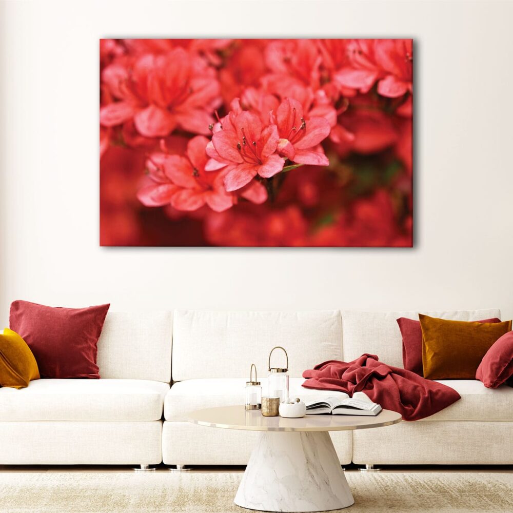 red flowers floating frame canvas