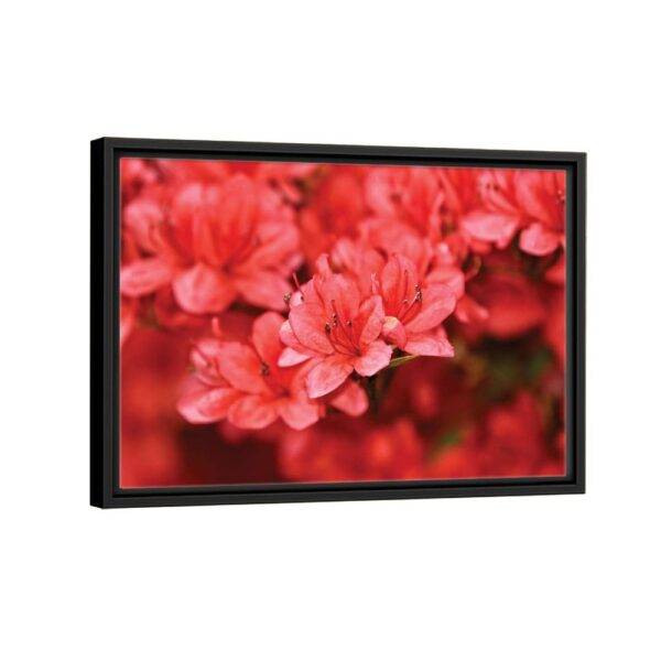 red flowers framed canvas black frame