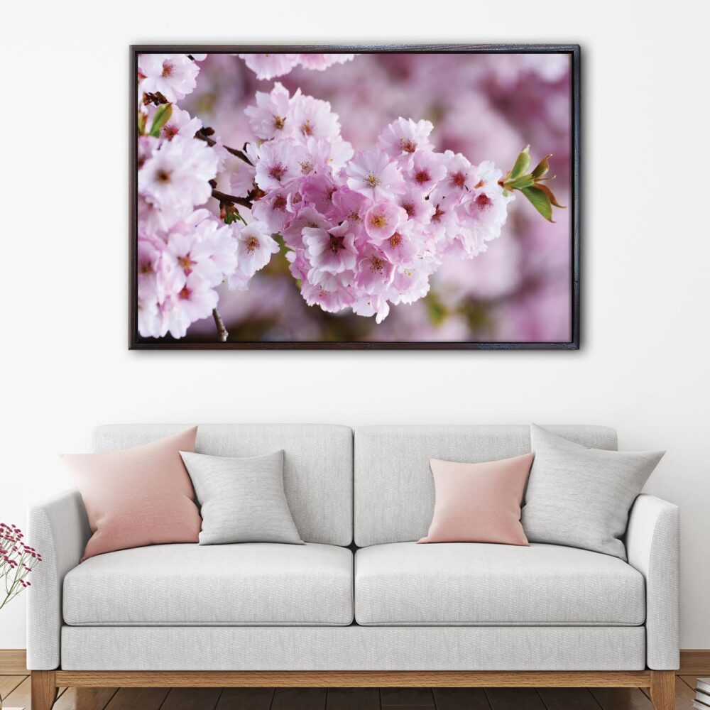 spring blossom flower floating frame canvas