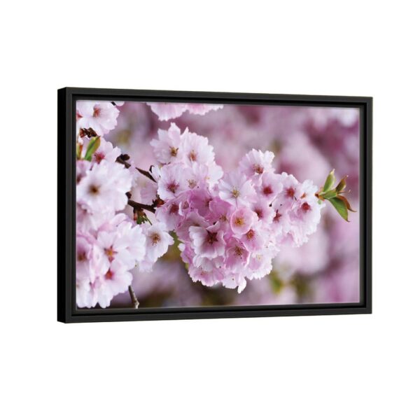 spring blossom flower framed canvas black frame