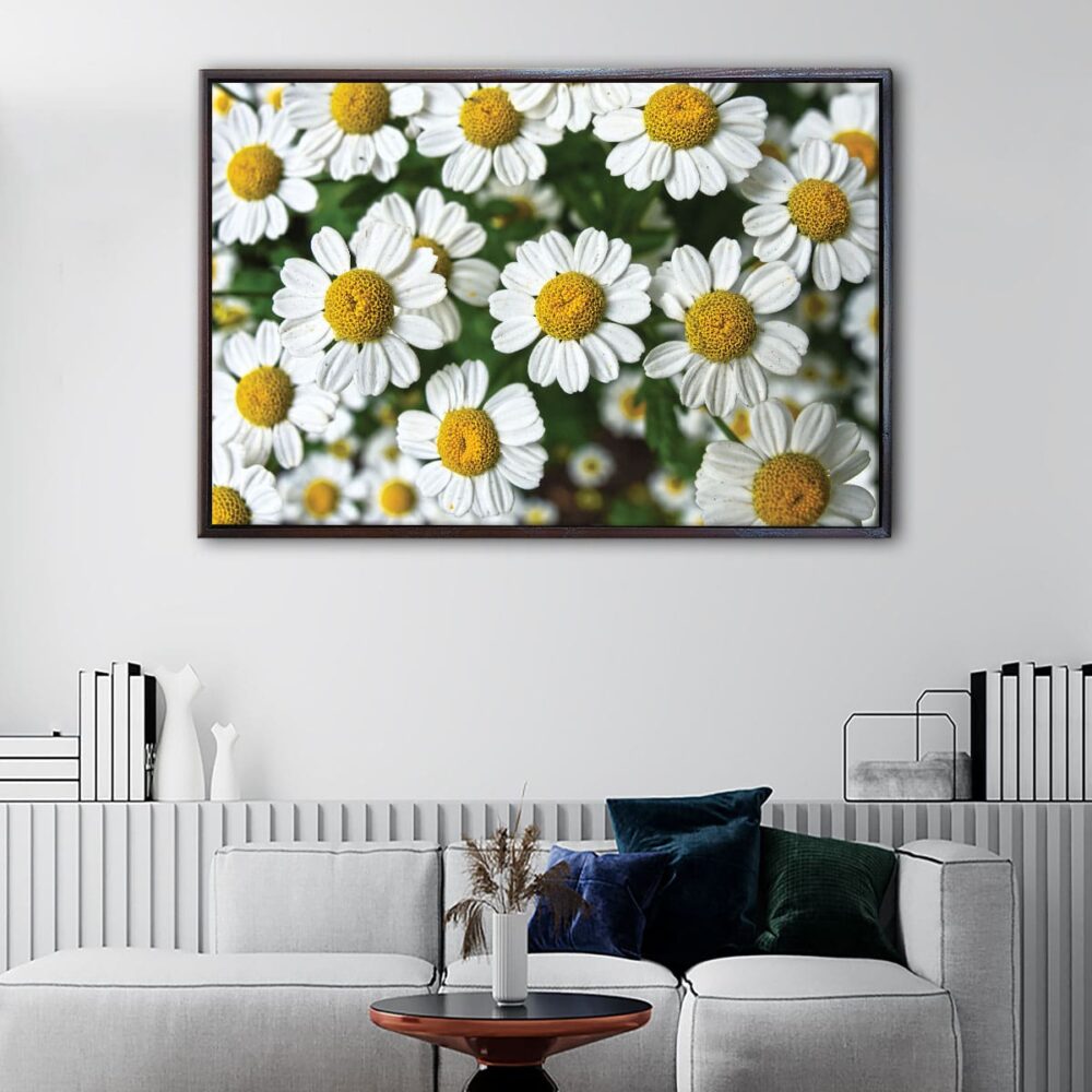 white daisy flowers floating frame canvas