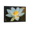 white lotus flower framed canvas black frame