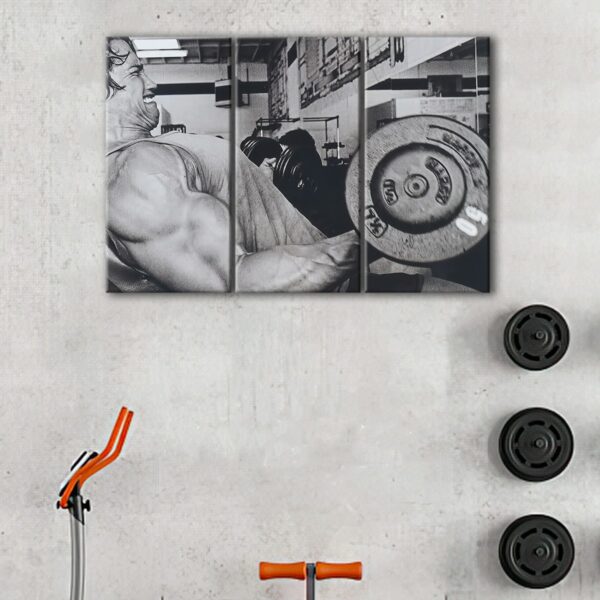 3 panels arnold Schwarzenegger bodybuilding canvas art