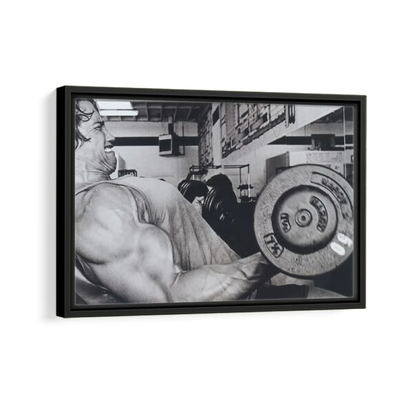 arnold Schwarzenegger bodybuilding framed canvas black frame