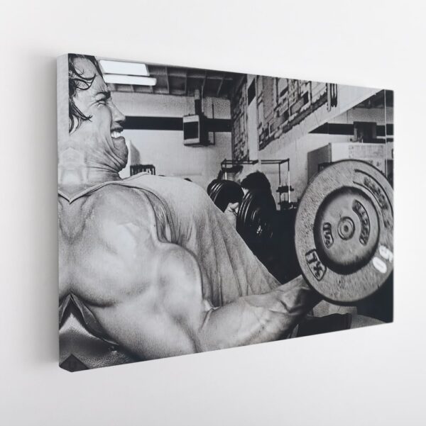 arnold Schwarzenegger bodybuilding stretched canvas