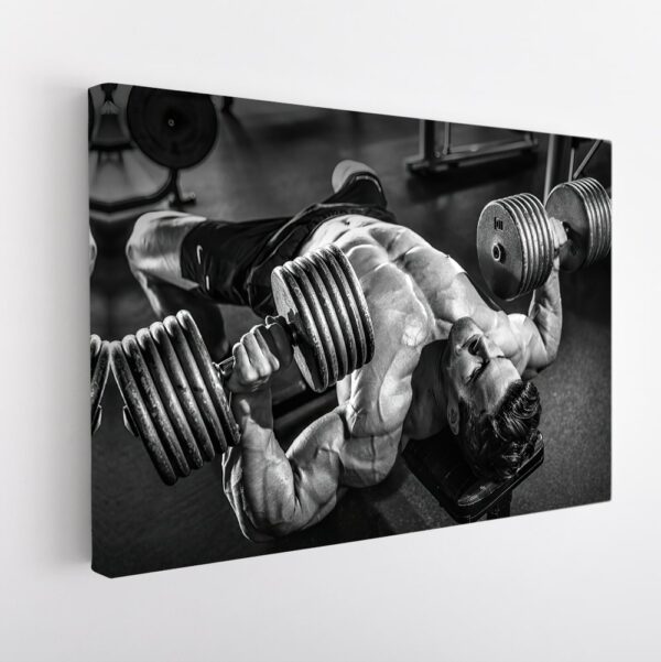 classic arnold schwarzenegerstretched canvas