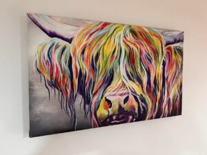 highland cow review 2
