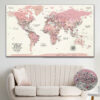 shade of pink push pin world map