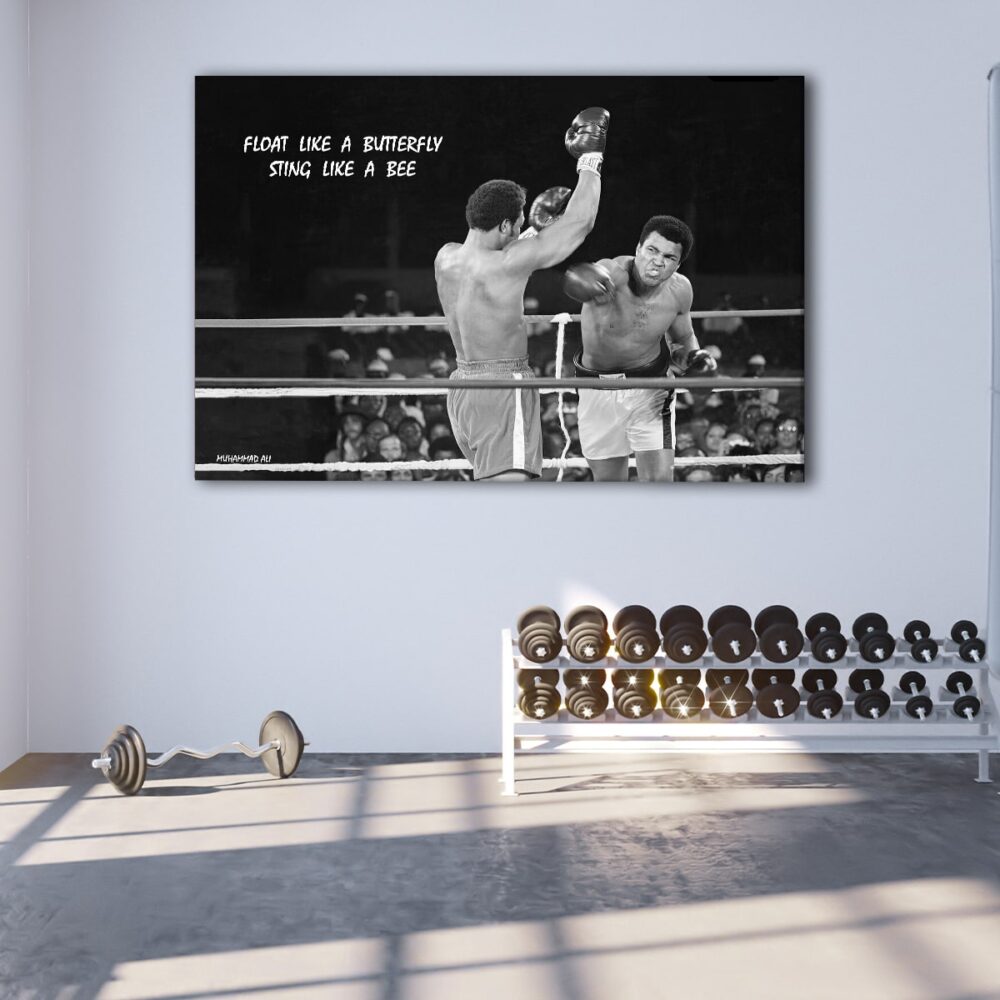 1 panels Ali butterfly quote canvas art