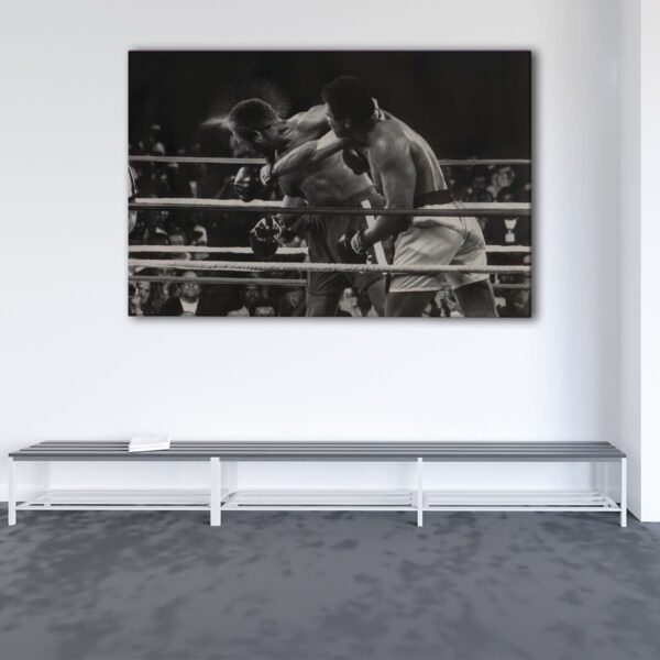 1 panels muhamed ali punch canvas art