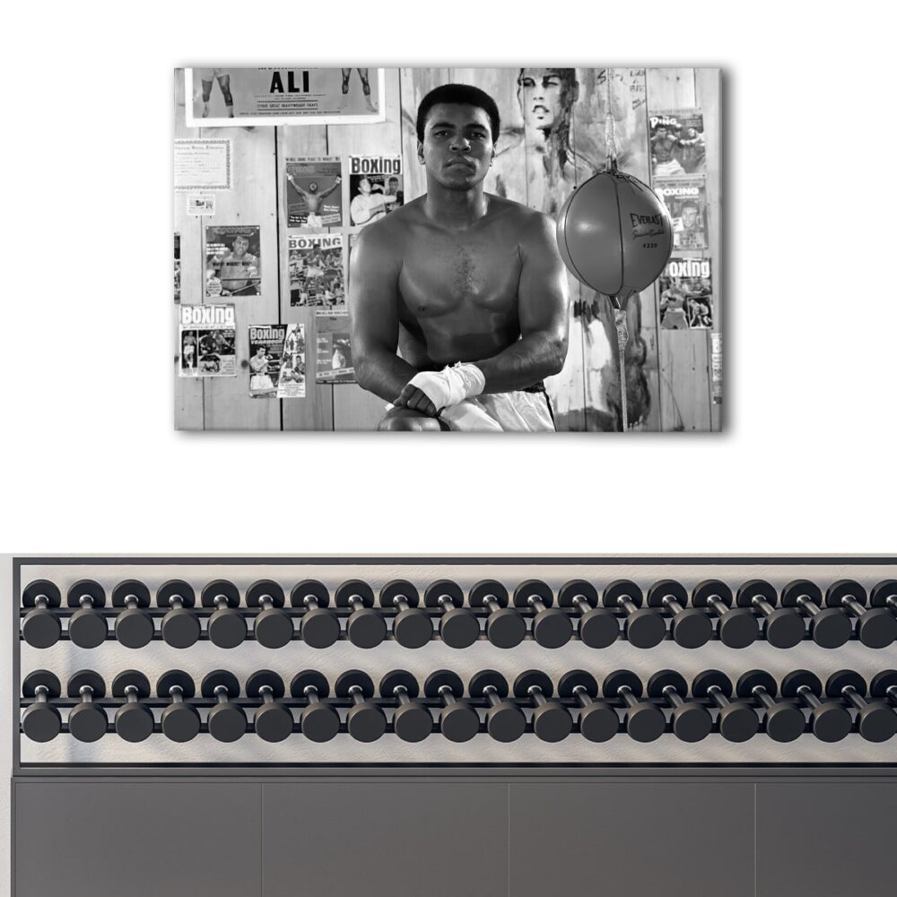 1 panels ali training canvas art