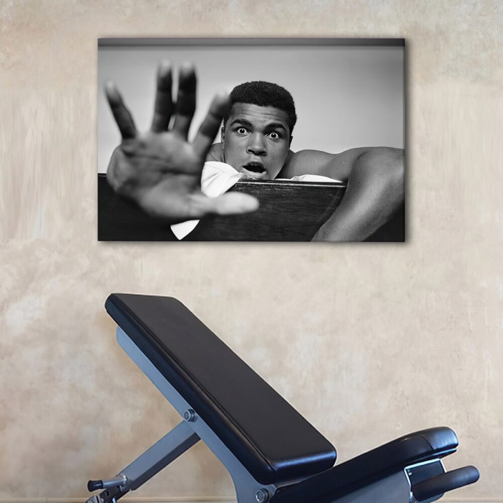 1 panels cool ali canvas art