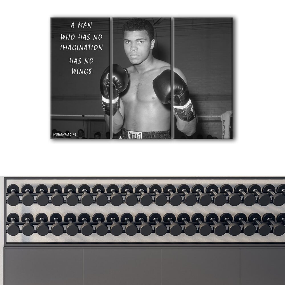 3 panels ali imagination quote canvas art