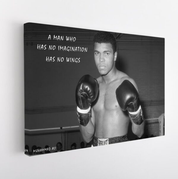 ali imagination quote stretched canvas