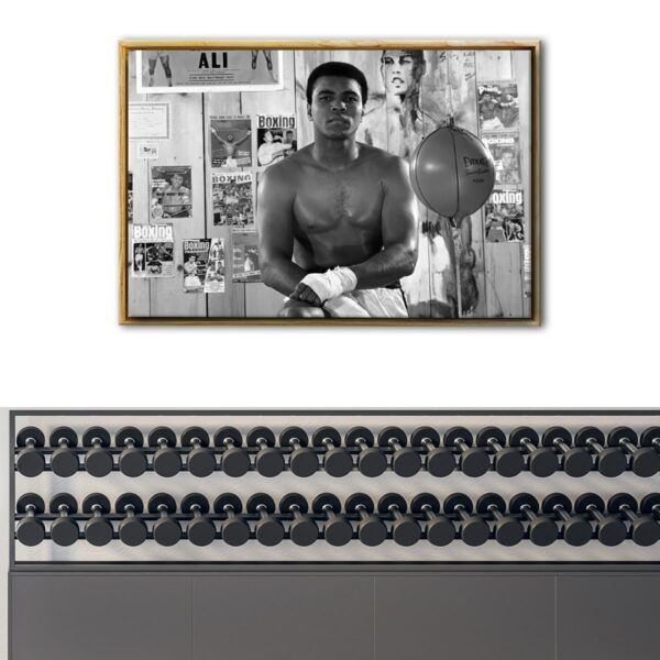 ali training floating frame canvas