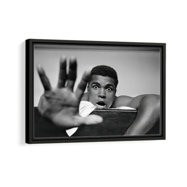 cool ali framed canvas black frame