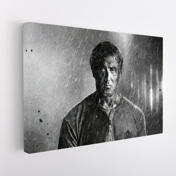 rambo under the rain stretched canvas