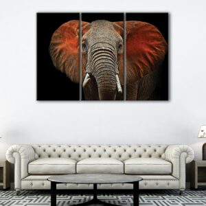 3 panels african elephant canvas art