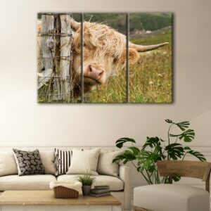 3 panels cute highland cattle canvas art