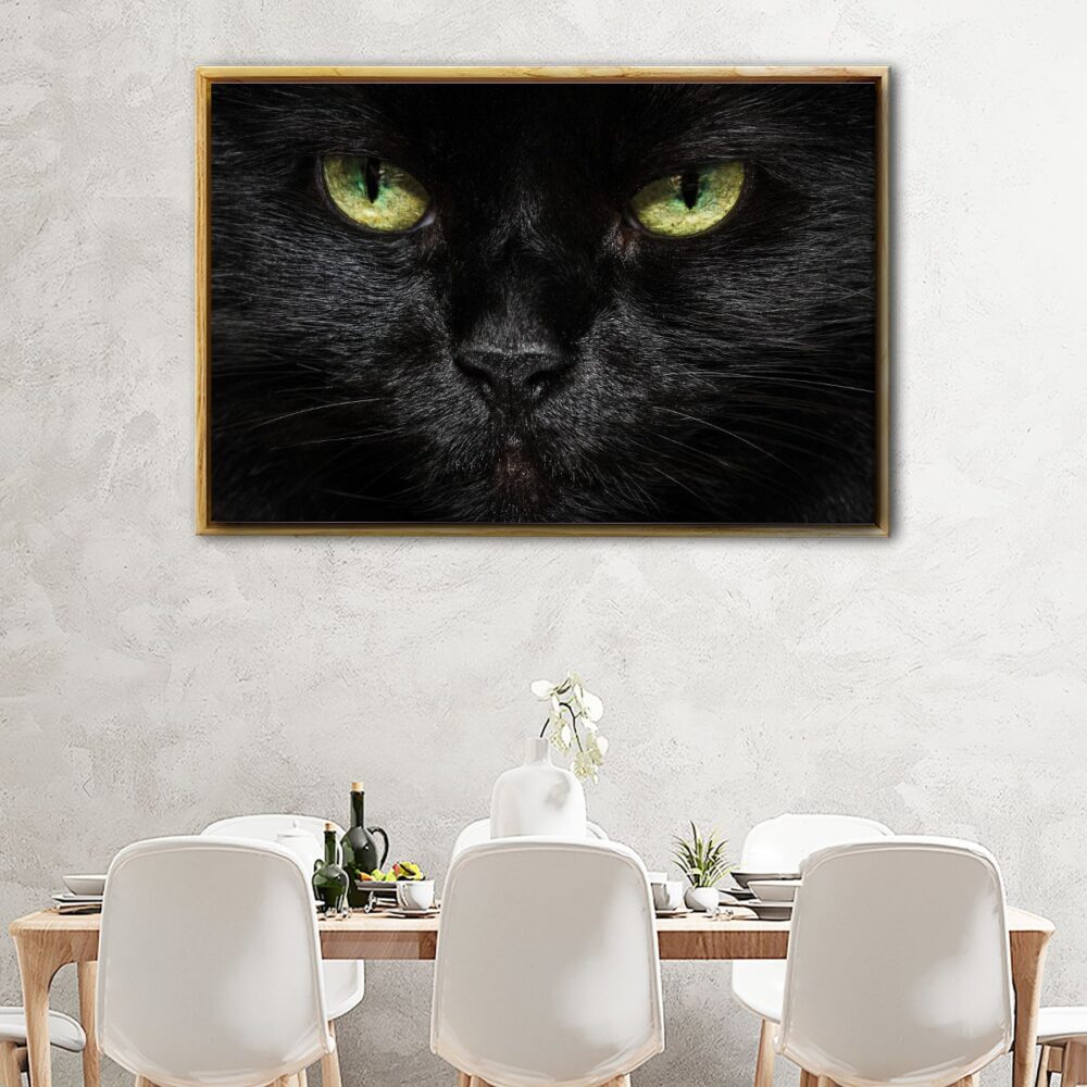 black cat floating frame canvas