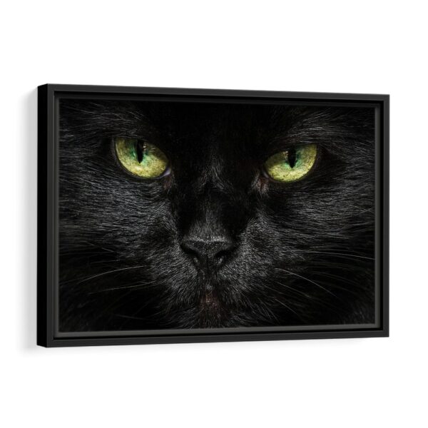 black cat framed canvas black frame