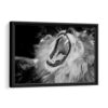 roaring lion portrait framed canvas black frame