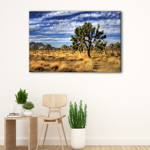 1 panels joshua tree canvas art