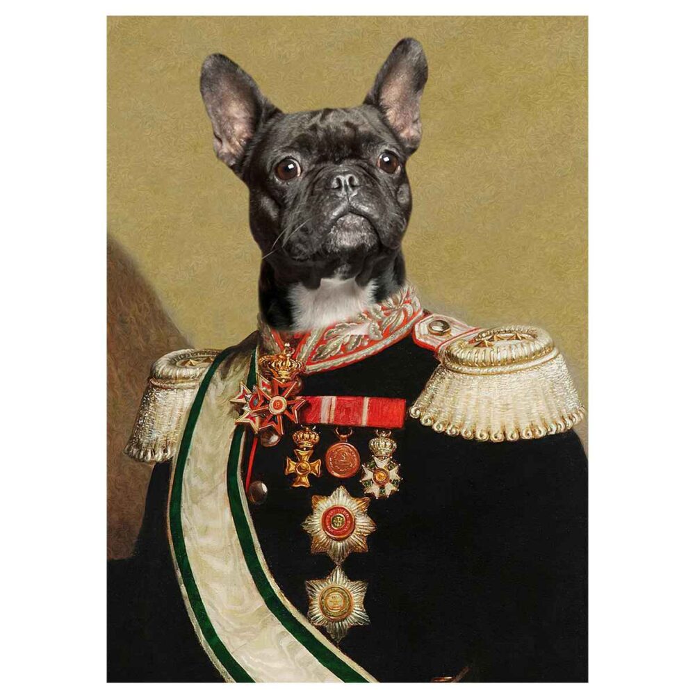 admiral pet portrait poster