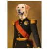 french commander pet portrait poster