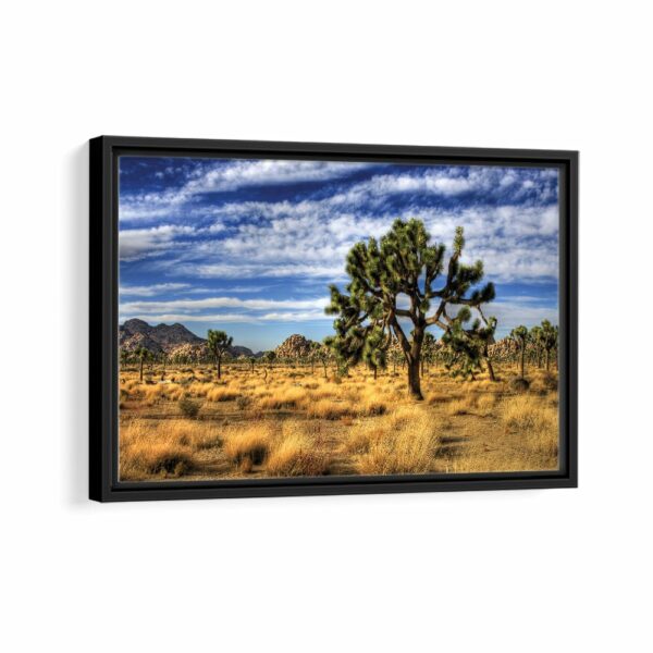 joshua tree framed canvas black frame
