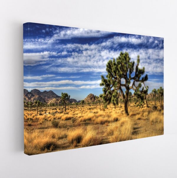 joshua tree stretched canvas