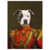 red commander pet portrait poster