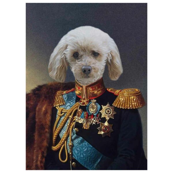 the general pet portrait poster