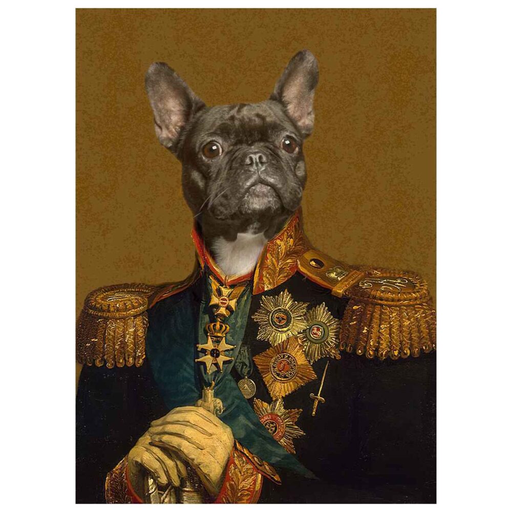 the veteran pet portrait poster