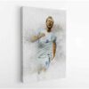 harry kane canvas