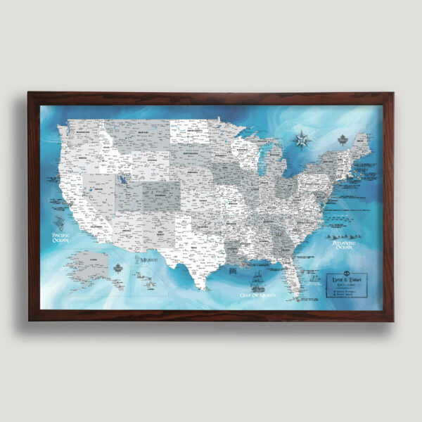 Pirate push pin USA map - brown frame