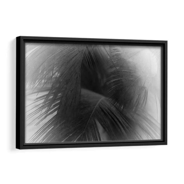  tableau feuilles noires avec cadre noir