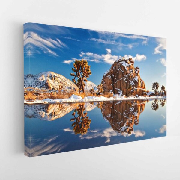 joshua trees stretched canvas