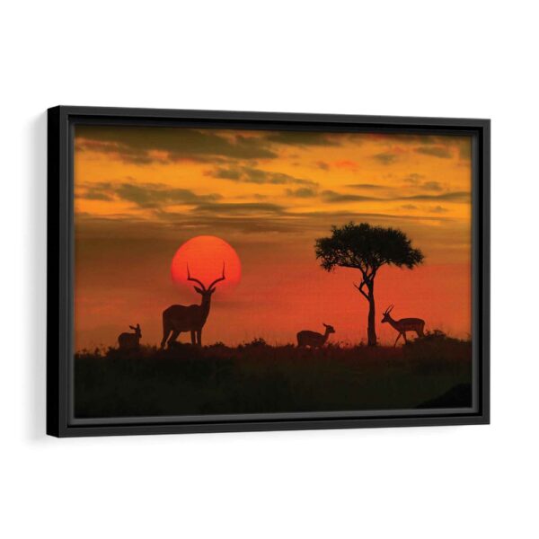 tableau coucher de soleil sur la savane avec cadre noir