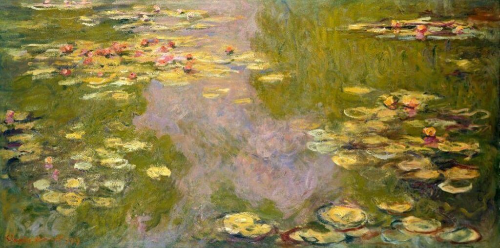 water-lilies