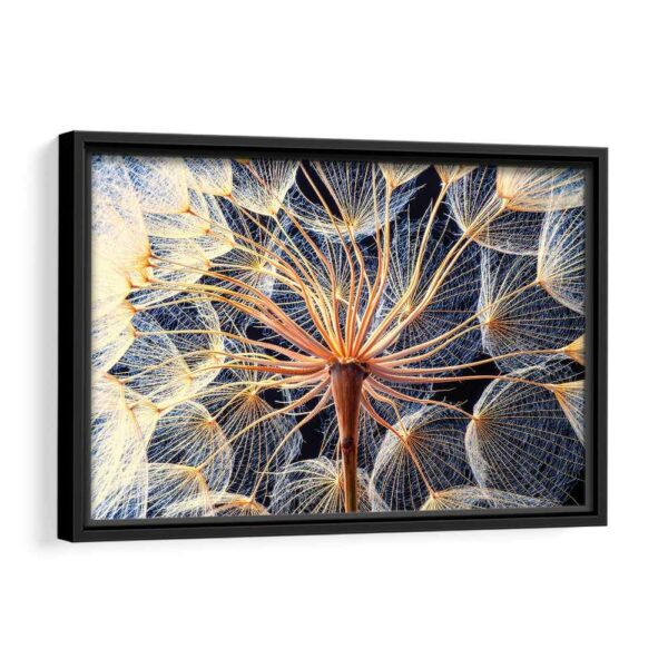 the dandelion framed canvas black frame