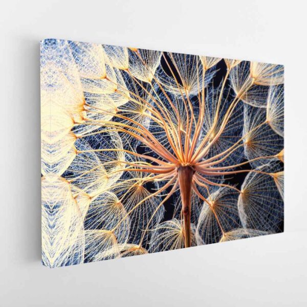 the dandelion stretched canvas