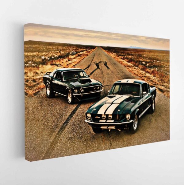 black mustangs stretched canvas